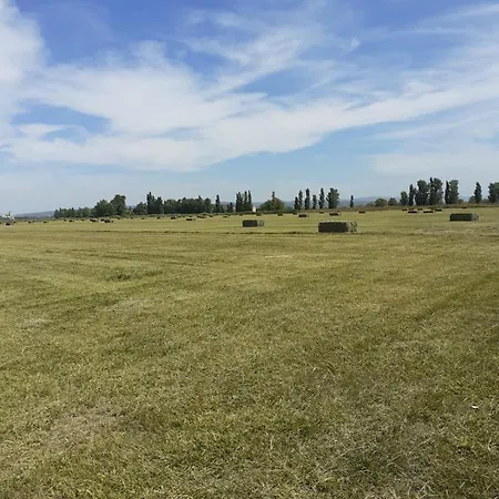 Petite Maison Dans La Campagne A 10 Mn A Pied Du Centre * Arlés